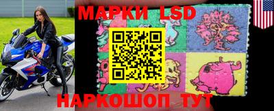 apvp Коммунар