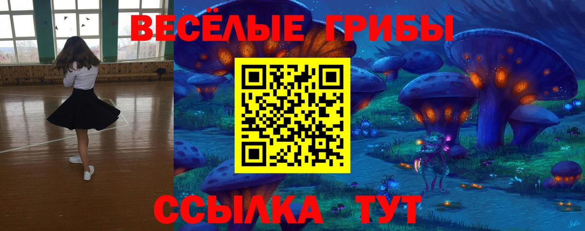 Псилоцибиновые грибы прущие грибы  Вход с VPN  Кирово-Чепецк  Псилоцибиновые грибы прущие грибы 