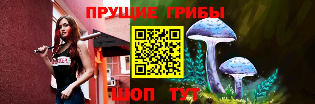Псилоцибиновые грибы Cubensis Кирово-Чепецк