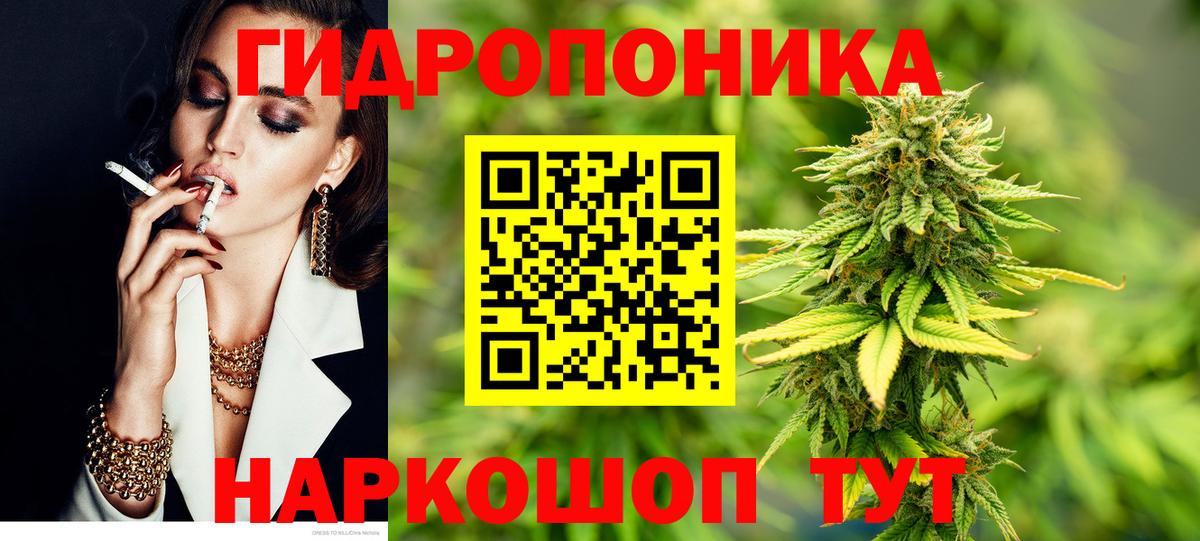 Конопля сатива  Бошки марихуана марихуана  Кирово-Чепецк  Вход с VPN  Бошки Шишки OG Kush 